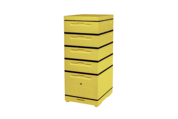 1-dad-4-nads-10-ram-zhelt 1-dad-4-nads-10-ram-zhelt